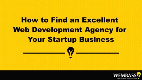 How to Find an Excellent Web Development Agency for Your Startup Business