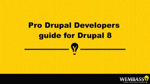 Pro Drupal Developers guide for Drupal 8
