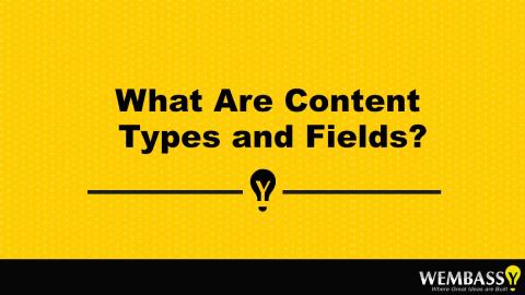 What Are Content Types and Fields?