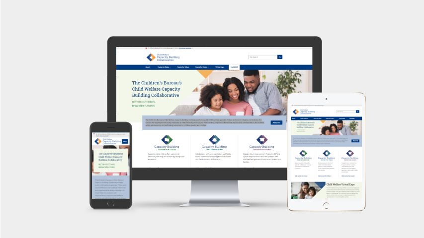 Child Welfare Capacity